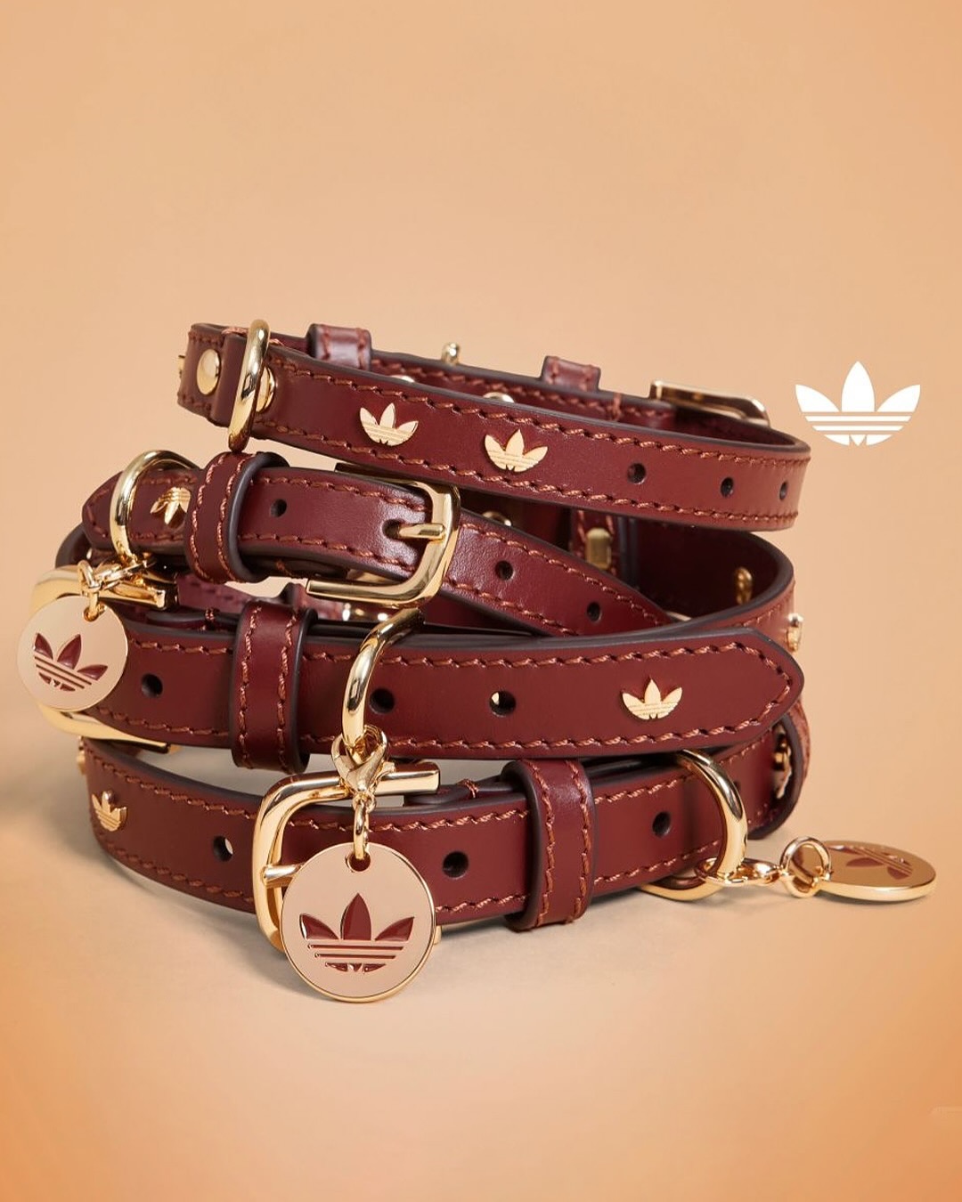 Ropa mascotas Adidas - NDV 