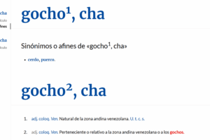 RAE gocho gentilicio NDV