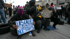 Protestas en Ecuador NDV