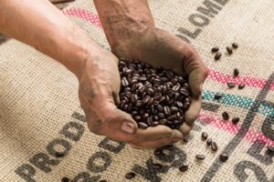 Día Internacional del Café NDV